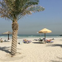 Там,где всегда лето... :: Alisia La DEMA