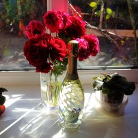 Солнечно :: Юрий Гайворонскiий Солнечно :: Юрий Гайворонскiий