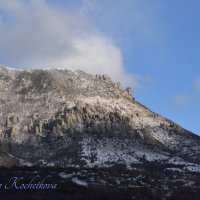 Природа Крыма :: Amazing Cosmea