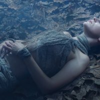 RED to GREY :: Алексей Шишкин