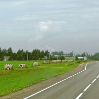 Автодорога А-119 (Вологда – Медвежьегорск) у деревни Перхурьево :: Александр Ильчевский 