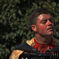 гармонист :: Дмитрий Потапов