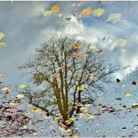 ОСЕННЯЯ РАПСОДИЯ... :: Elvira E. ОСЕННЯЯ РАПСОДИЯ... :: Elvira E.