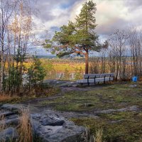 В парке.... :: Ольга Cоломатина