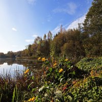 б/н :: Николай 