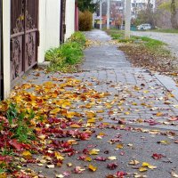 А у нас листопад :: Татьяна Смоляниченко А у нас листопад :: Татьяна Смоляниченко