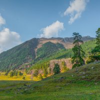 Марухское ущелье :: Аnatoly Gaponenko