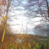 В туманной дымке :: Андрей Снегерёв