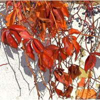 ОСЕНЬ :: Юрий Владимирович 34 ОСЕНЬ :: Юрий Владимирович 34