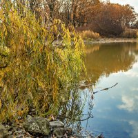 возле воды :: валерий 