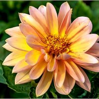 Сентябрь . :: Aquarius - Сергей Сентябрь . :: Aquarius - Сергей