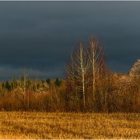 Цветущий ноябрь :: Валентин Котляров Цветущий ноябрь :: Валентин Котляров