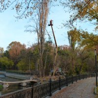 Обрезка тополя :: Валентин Семчишин Обрезка тополя :: Валентин Семчишин