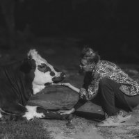 Документальная эстетика и трогательное взаимодействие. :: Сергей В