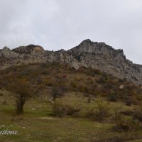 Природа Крыма :: Amazing Cosmea