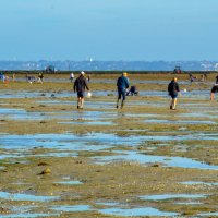 Океан далеко отошёл аж на 4 км :: Георгий А