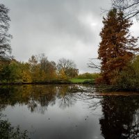 В ноябре... :: Николай Гирш В ноябре... :: Николай Гирш