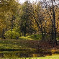 осенний парк :: Владимир Матва