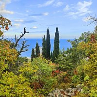 В парке санатория "Горный". :: Виктор Мухин