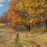 Заканчивается осень в Краснодарском Крае :: Игорь Сикорский