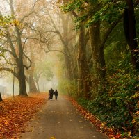 Домой... :: Юрий. Шмаков Домой... :: Юрий. Шмаков