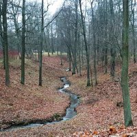 Парк Александрия :: Наталья Герасимова