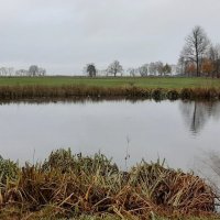 Парк Александрия :: Наталья Герасимова