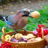 Большому куску и рот рад ! :: Ольга Митрофанова
