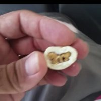 114 (130) :: CLOSE WAYS ALL