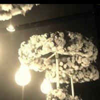 114 (133) :: CLOSE WAYS ALL