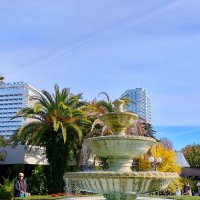 Приморский парк :: Tata Wolf