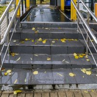 Промозглый день! Зайду, куплю что-нибудь согревающее! :: Валерий Иванович Промозглый день! Зайду, куплю что-нибудь согревающее! :: Валерий Иванович