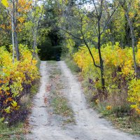 Краски осени :: Валентин Семчишин Краски осени :: Валентин Семчишин