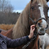 Кокетливая улыбка... )) :: Владимир Хиль