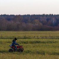 На боголюбовском лугу :: Сергей Цветков