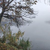 Утро :: Валерий Ткаченко