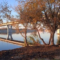 Балаково :: Елена Шаламова