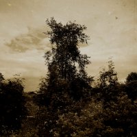 Фотография :: Денис Безногов