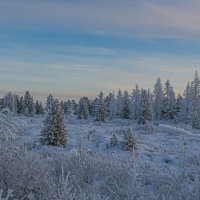 Зим пришла :: Игорь Шабалин
