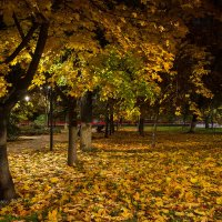 Октябрьский вечер :: Александр Синдерёв
