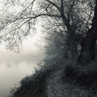 ............ :: Котовский