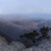 Природа Крыма :: Amazing Cosmea Природа Крыма :: Amazing Cosmea