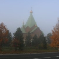 В тумане :: Ольга В тумане :: Ольга