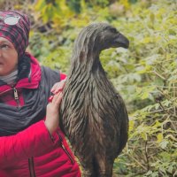 Парк :: Лана 