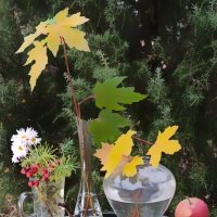 Забытые краски осени :: veilins veilins Забытые краски осени :: veilins veilins