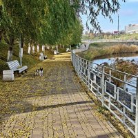 Ростовские зарисовки :: Александр Гапоненко