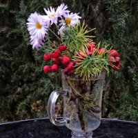 Когда ж мы с осенью простимся? ! :: veilins veilins Когда ж мы с осенью простимся? ! :: veilins veilins