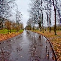 Когда тепло и дождик в радость. :: Лия ☼ Когда тепло и дождик в радость. :: Лия ☼