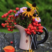 Букетик ранней Осени .. :: Татьян@ Ивановна