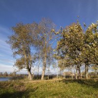 Осень. :: Николай 